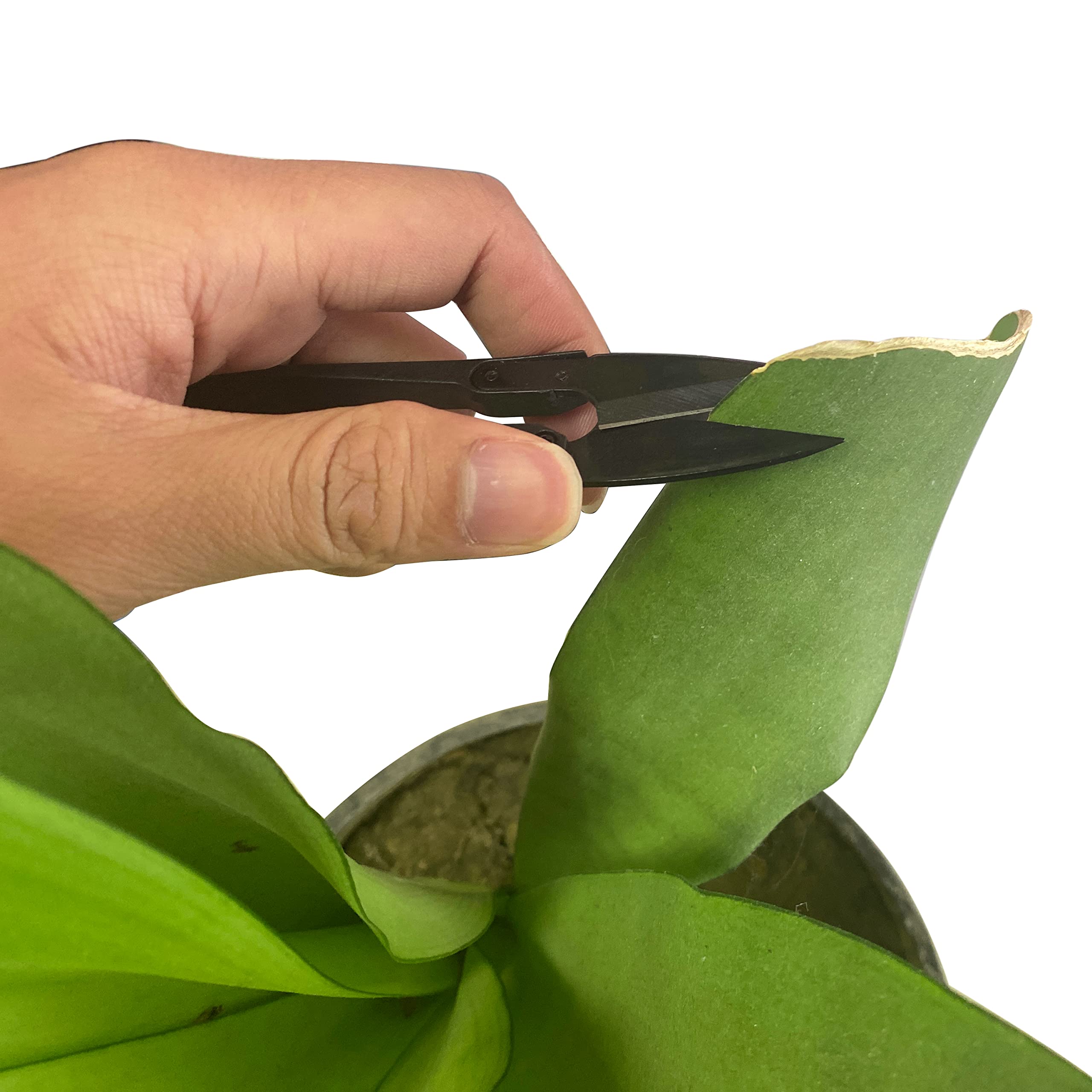 HFS(R) Bonsai Pruner Pruning Scissors for Bud and Leaves Trimmer for Plants, Flowers 6 PCS - Image 5