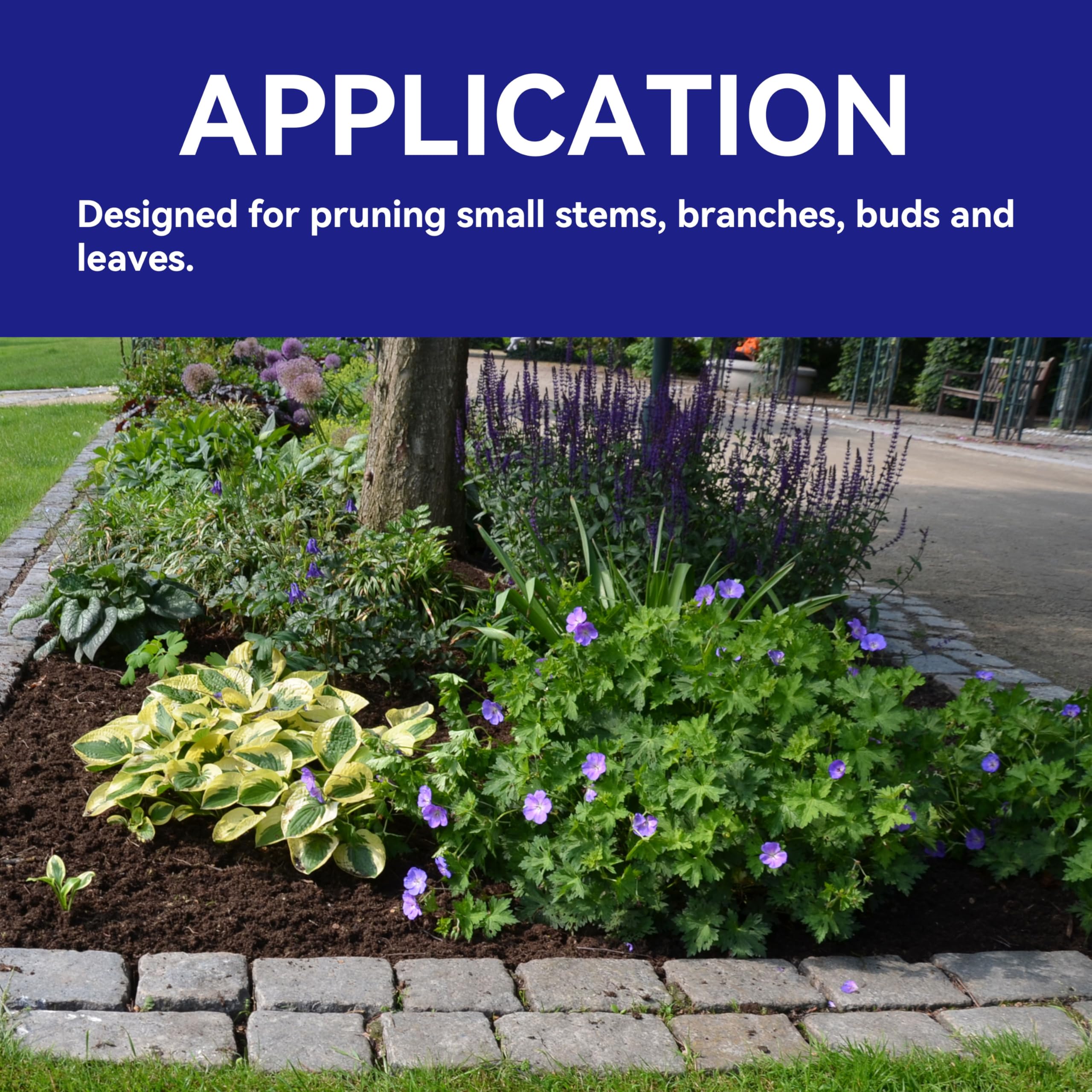 HFS(R) Bonsai Pruner Pruning Scissors for Bud and Leaves Trimmer for Plants, Flowers 6 PCS - Image 6