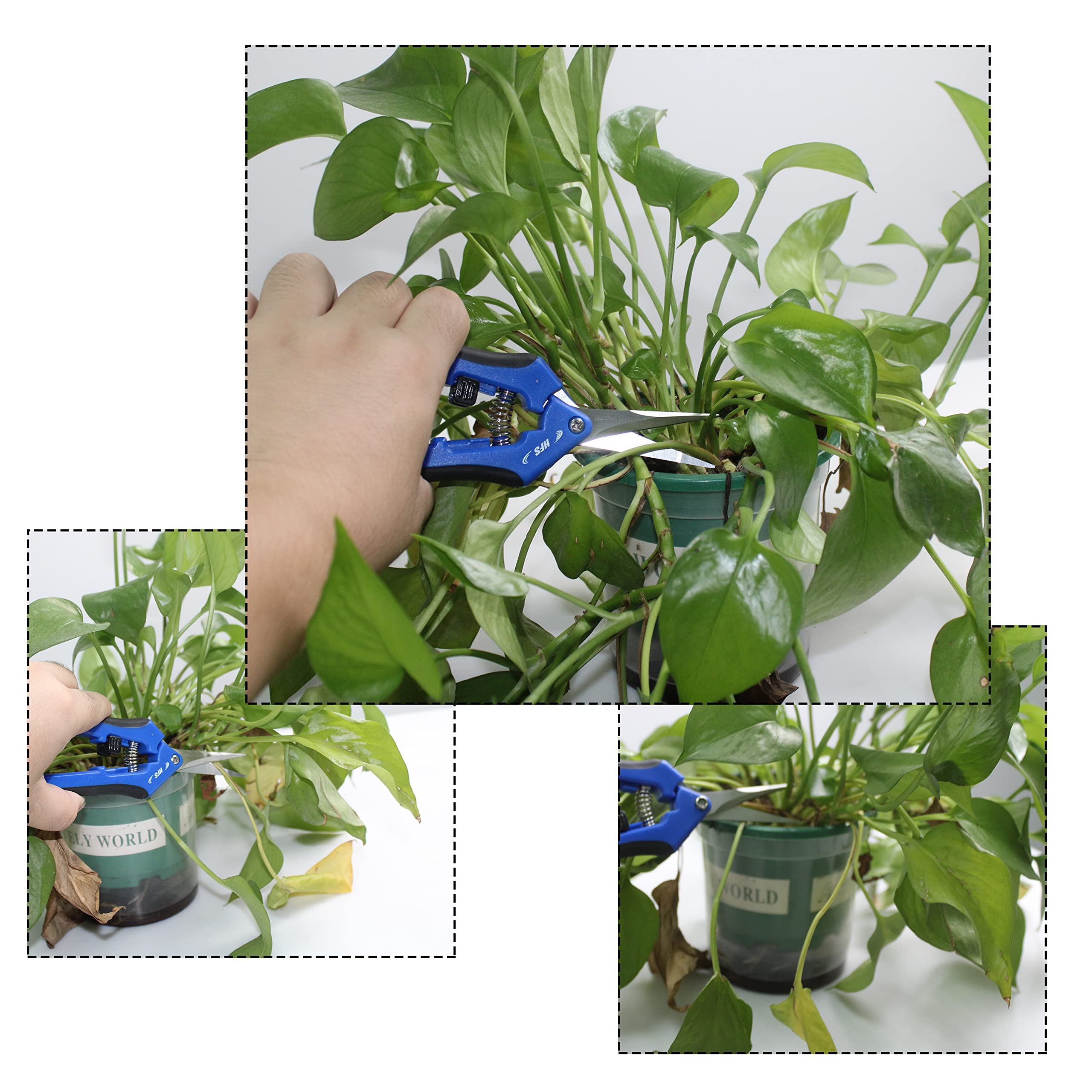 HFS(R) Gardening Scissor Pruner Shear Leaf Trimmer Straight Blade Stainless Steel Micro-Tip Pruning Snip, 6.5" (5pcs) - Image 5